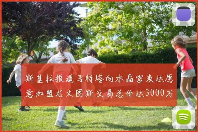 斯基拉报道马特塔向水晶宫表达愿意加盟尤文图斯交易总价达3000万欧元