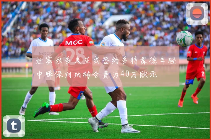 杜塞尔多夫正式签约多特蒙德年轻中锋保利纳转会费为40万欧元